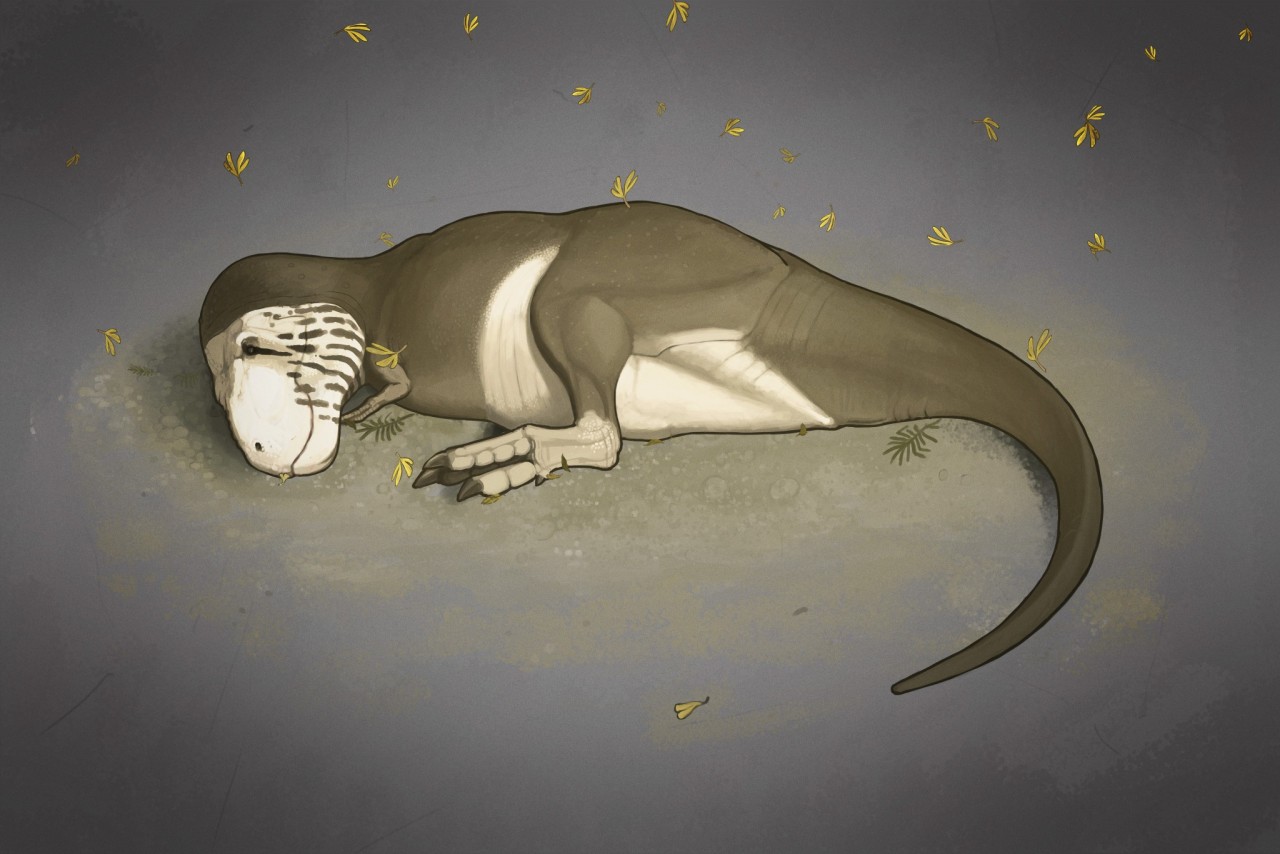 John Conway, Sleepy Stan